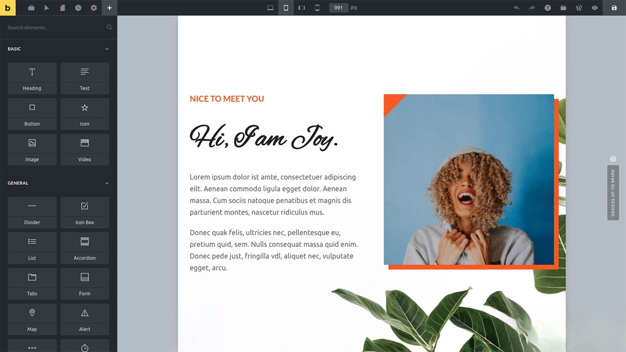 WordPress主题Bricks v1.9 破解版-深情博客